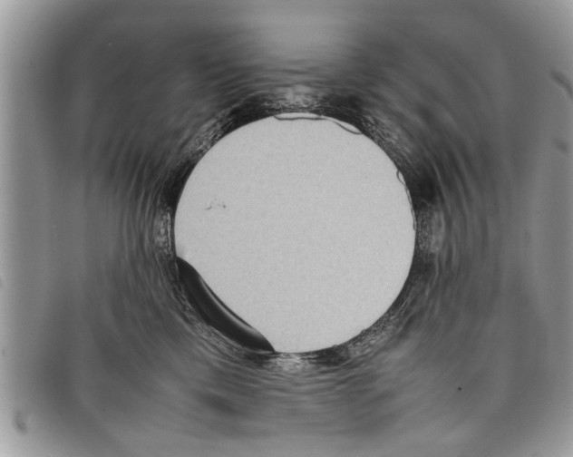 X0000097800425200804110930