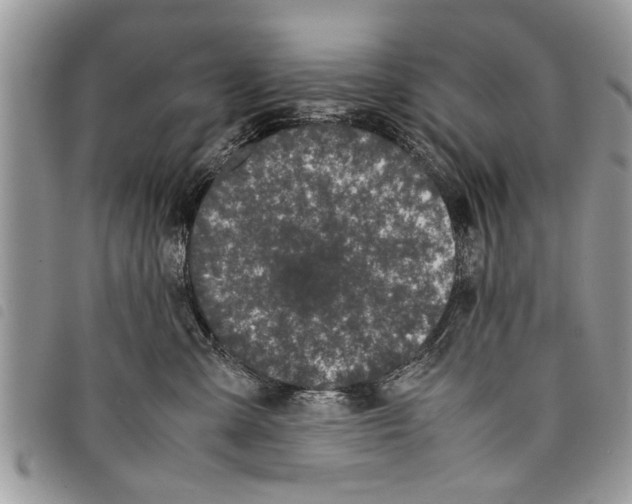 X0000097800427200804110929