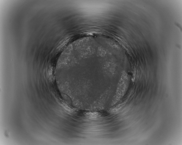 X0000097800428200804110929