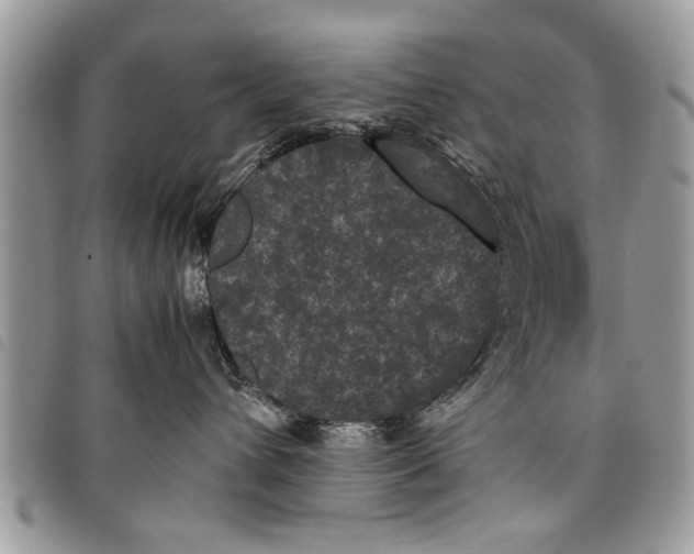 X0000097800432200804110929