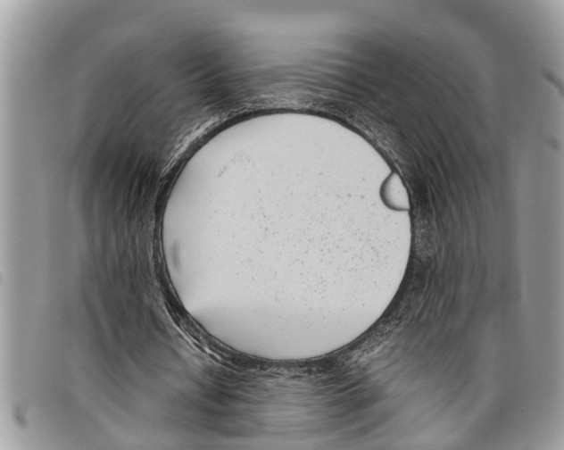 X0000097800434200804110929