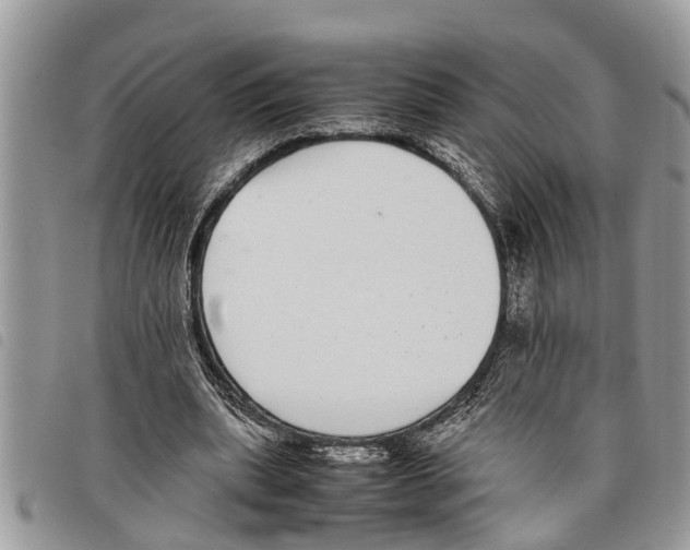 X0000097800439200804110929