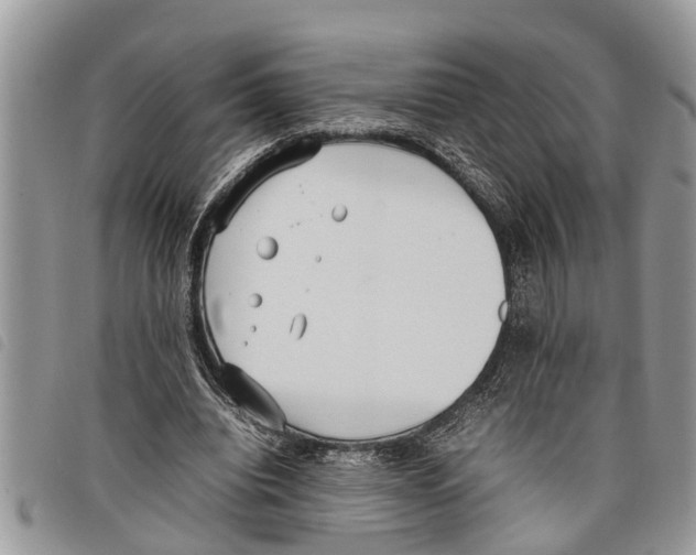 X0000097800440200804110929