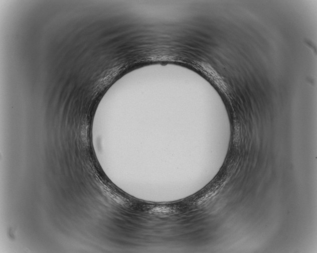 X0000097800441200804110929