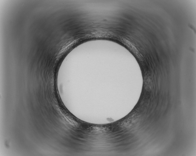 X0000097800442200804110929