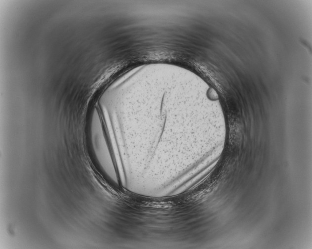 X0000097800443200804110929