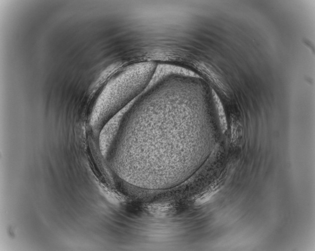 X0000097800444200804110929