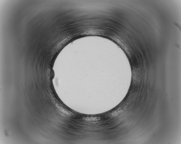 X0000097800445200804110929