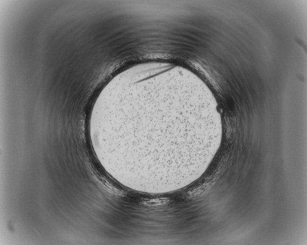 X0000097800447200804110929