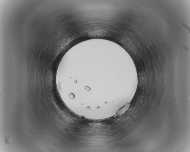 X0000097800448200804110929