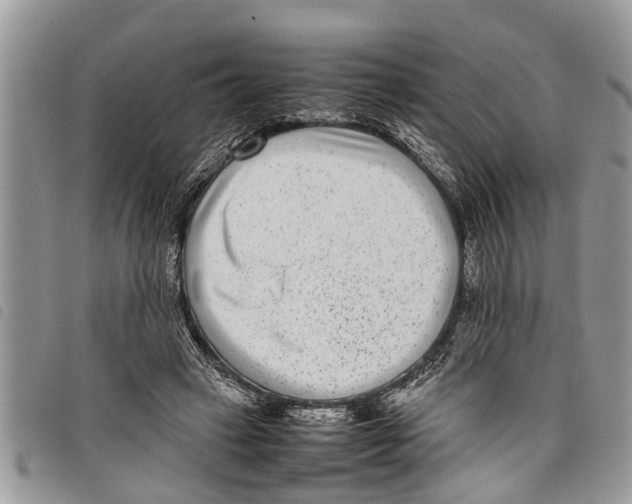 X0000097800449200804110929