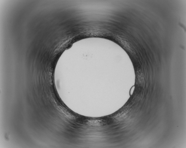 X0000097800450200804110929