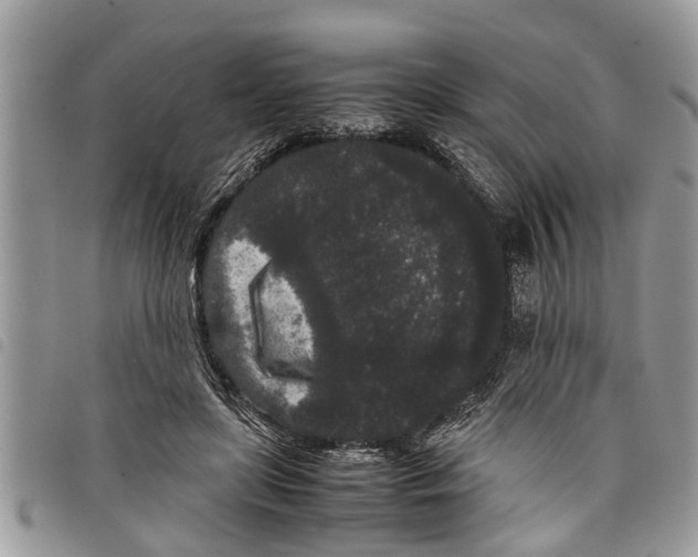 X0000097800451200804110929