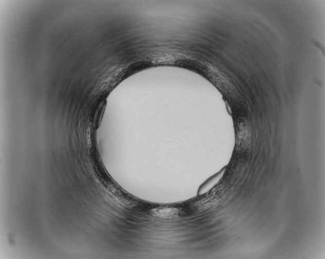 X0000097800452200804110929