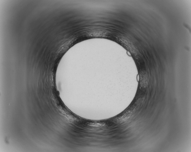 X0000097800453200804110929