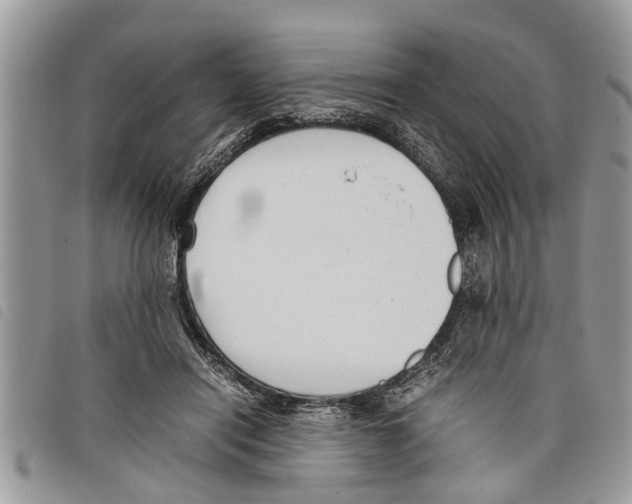 X0000097800454200804110929