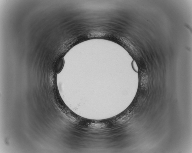 X0000097800455200804110929