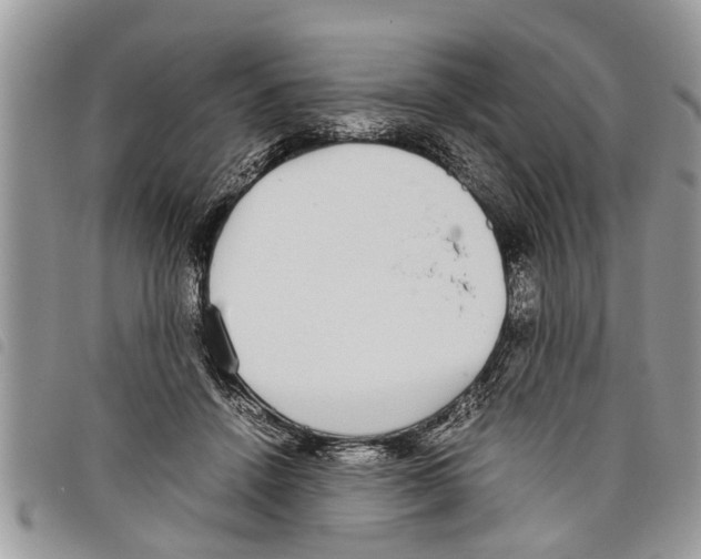 X0000097800456200804110929