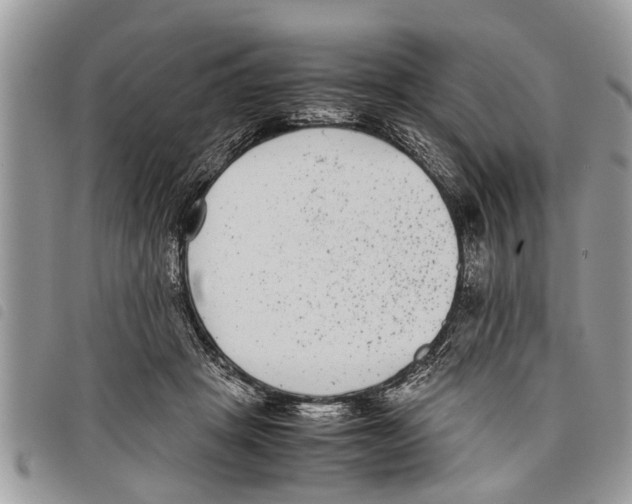 X0000097800457200804110929