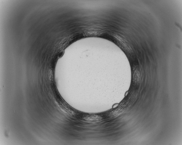 X0000097800459200804110929