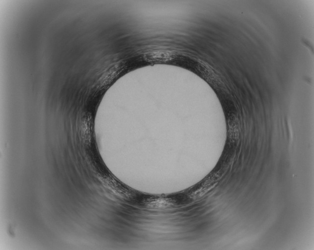 X0000097800460200804110929