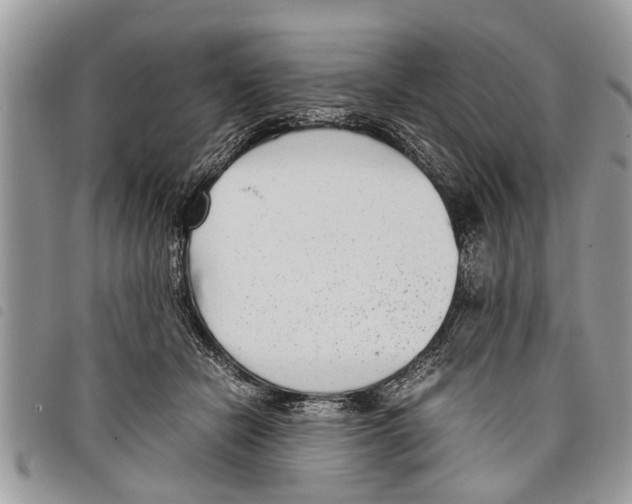 X0000097800462200804110929