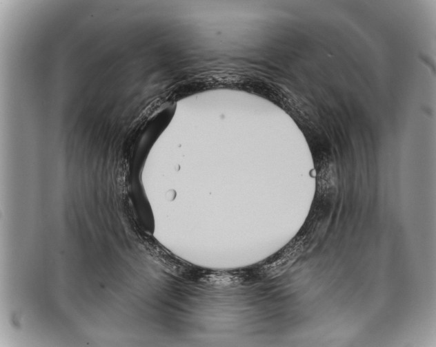 X0000097800464200804110929