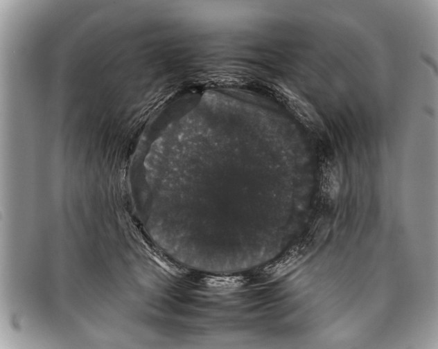 X0000097800465200804110929