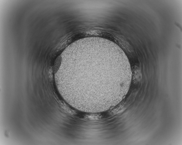 X0000097800466200804110929