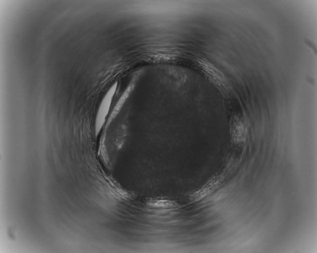 X0000097800467200804110929