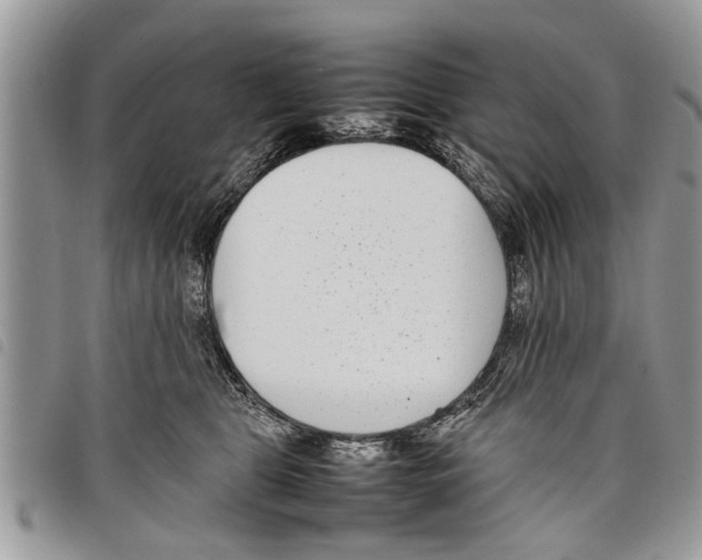 X0000097800469200804110929