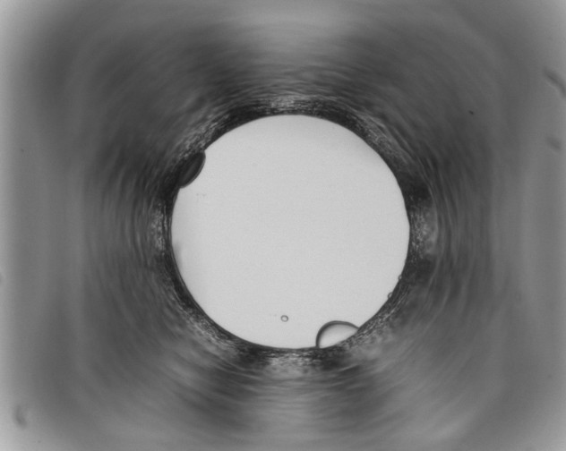 X0000097800470200804110929