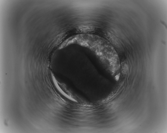 X0000097800471200804110929