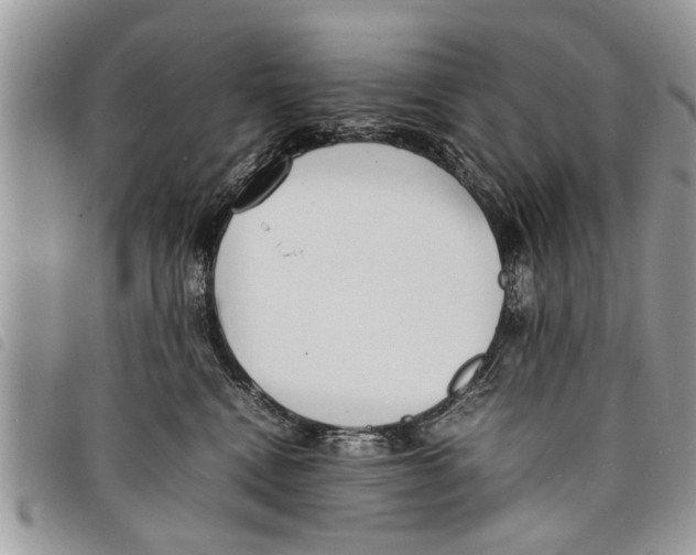 X0000097800472200804110929