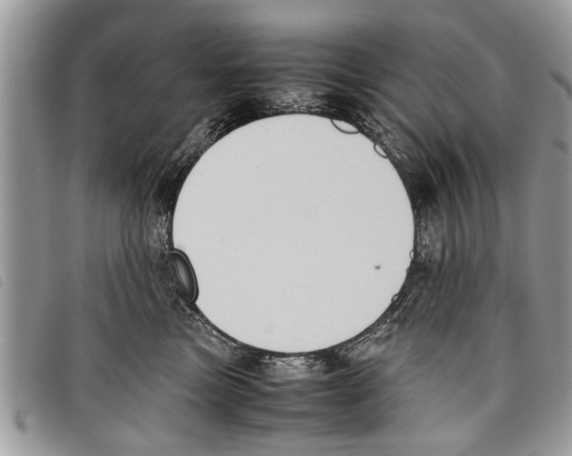 X0000097800473200804110929