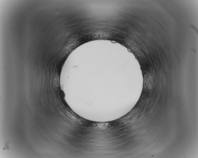 X0000097800474200804110929