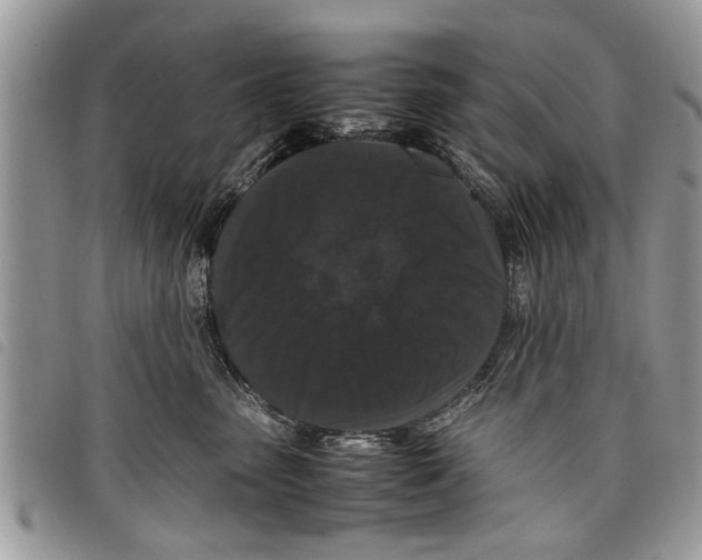 X0000097800475200804110929