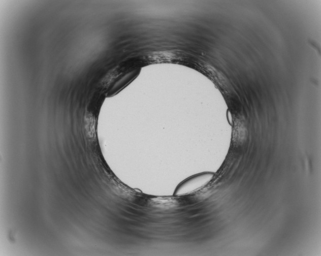 X0000097800477200804110929