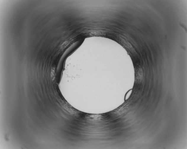 X0000097800478200804110929