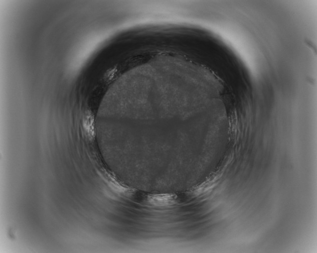 X0000097800479200804110929