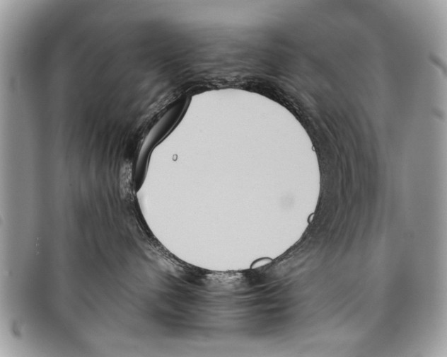 X0000097800480200804110929