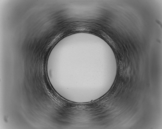 X0000097800482200804110929