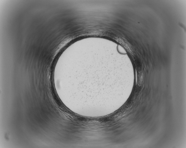 X0000097800483200804110929