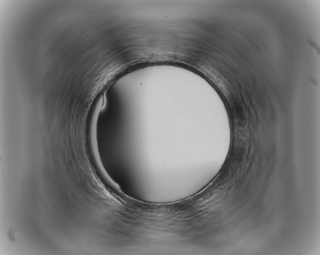 X0000097800485200804110929