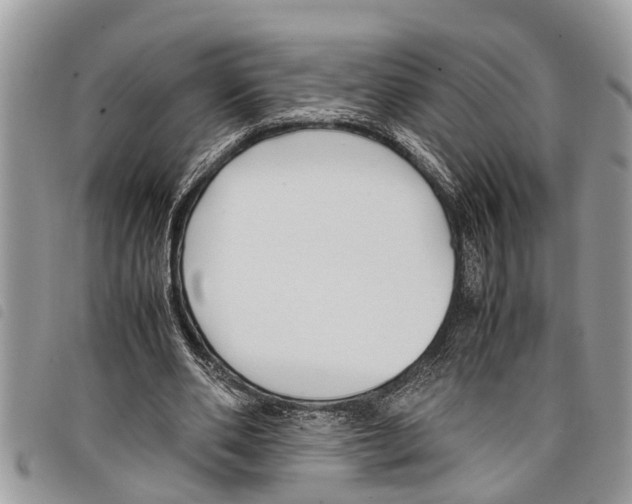 X0000097800486200804110928