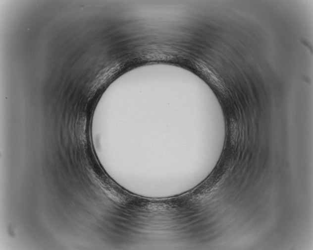 X0000097800490200804110928