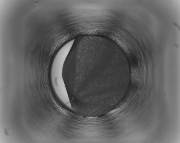 X0000097800493200804110928