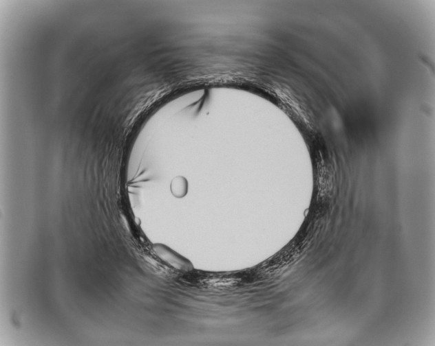 X0000097800495200804110928