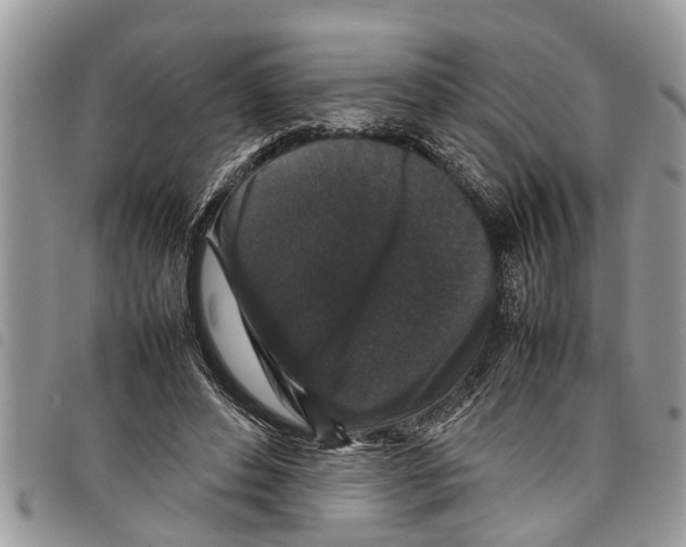 X0000097800496200804110928