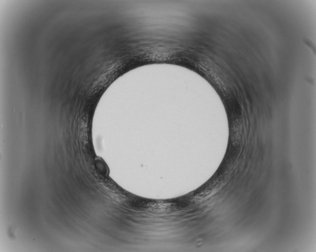 X0000097800497200804110928